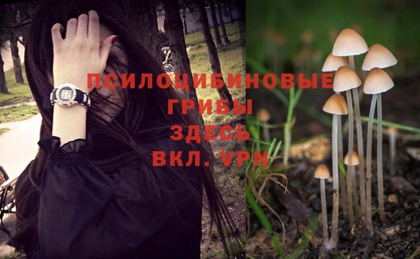 стаф Балабаново